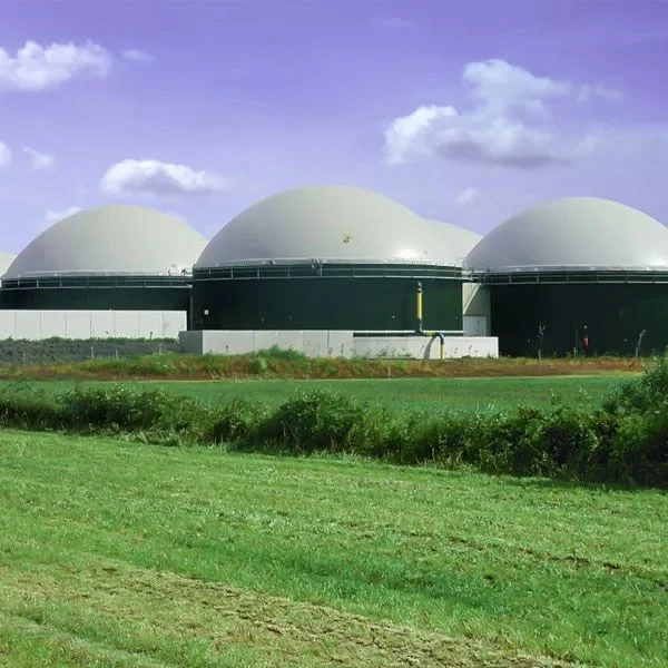 fixed dome biogas plant