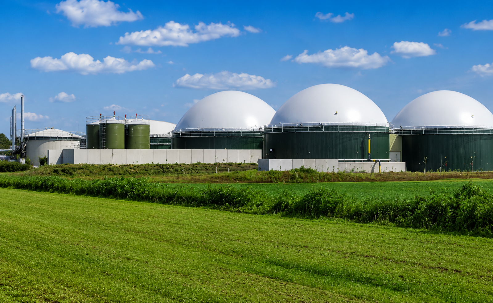 Bio Gas Domes